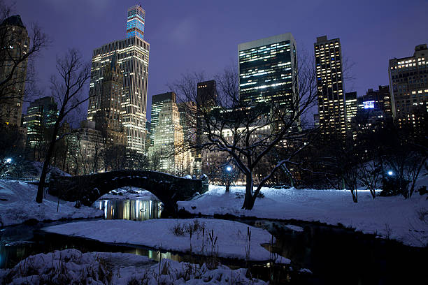 istock Central park in New York City 535293645