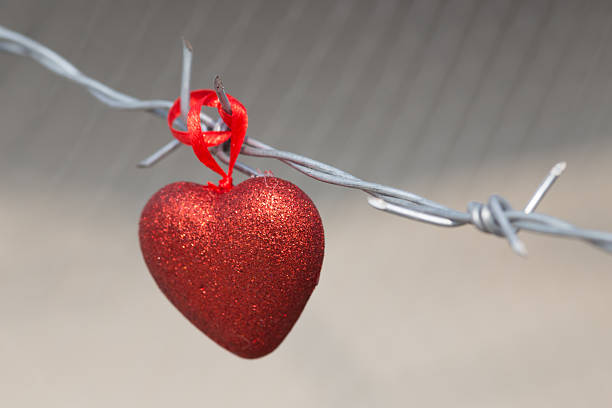 Red Heart On A Background Of Barbed Wire Stock Photo - Download Image Now -  2015, Abstract, Barbed Wire - iStock