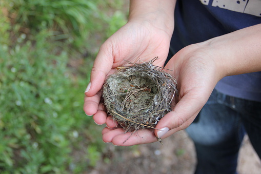 Bird's nest in the girl's hands with green grass on the background