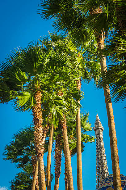 лас-вегас пальм, обрамляющими эйфелева башня, париж-казино сша - famous place eiffel tower clear sky urban scene стоковые фото и изображения