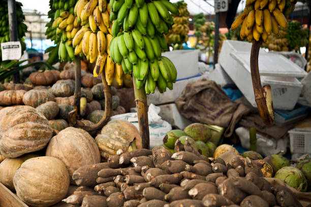 istock Fresh vegetable on fruit and vegetable market. 535297045