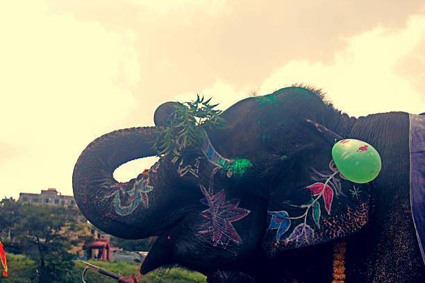 Close-up of a painted elephant, India