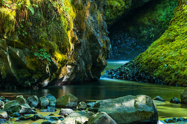 istock Base of Bridal Veil Falls In Columbia River Gorge 535298421