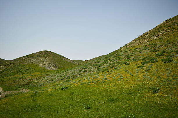 istock Green hills in Sartaly, Kyrgyzstan 535299331