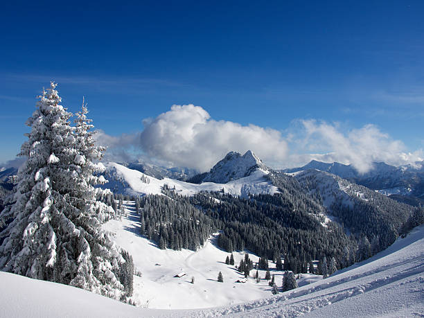 istock Winter in the Alps 535299963