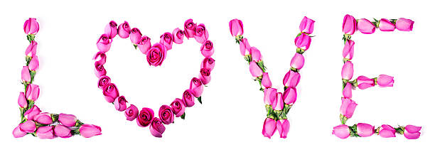 Word Love Collage From Pink Roses Stock Photo - Download Image Now - 2015,  Above, Beauty - iStock