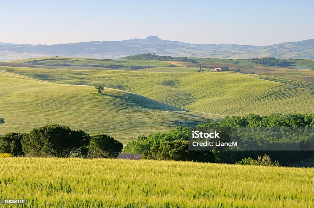 Tuscany hills Tuscany hills in spring 2015 Stock Photo