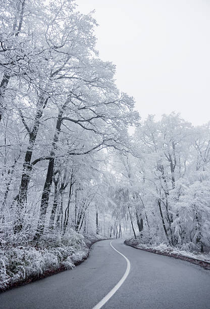 estrada de inverno 2 - corner marking fotos imagens e fotografias de stock