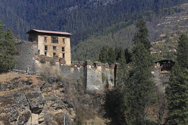 istock Drukgyal Dzong 535300783