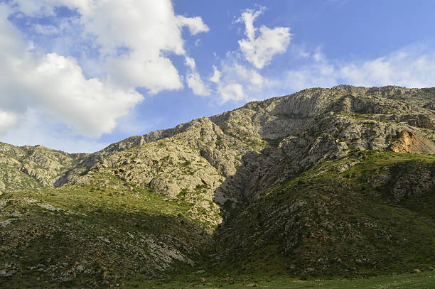 istock Mountain landscape, Zarhar gorge, Kyrgyzstan 535300825