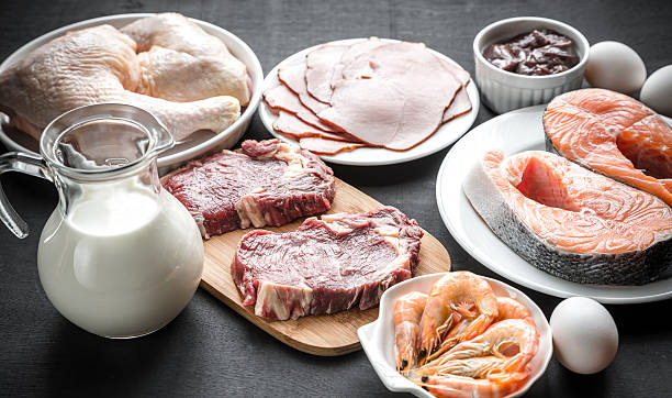 istock Protein diet: raw products on the wooden background 535314011