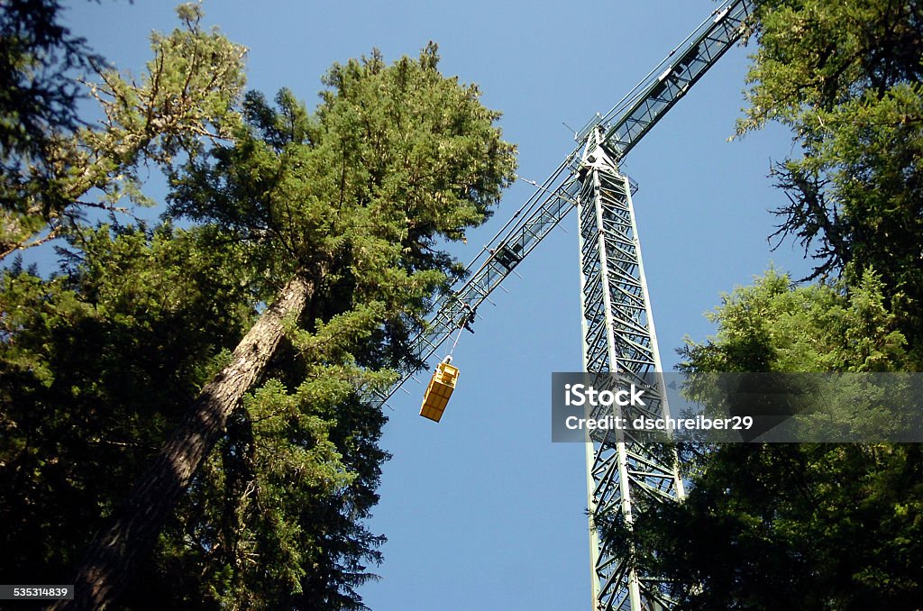 Canopy Research Crane Canopy Research Crane, U.S. Forest Service, Stevenson, Washington Mt Stevenson Stock Photo