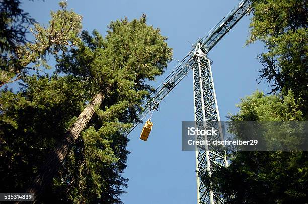 Canopy Research Crane Stock Photo - Download Image Now - Mt Stevenson, Washington State, 2015