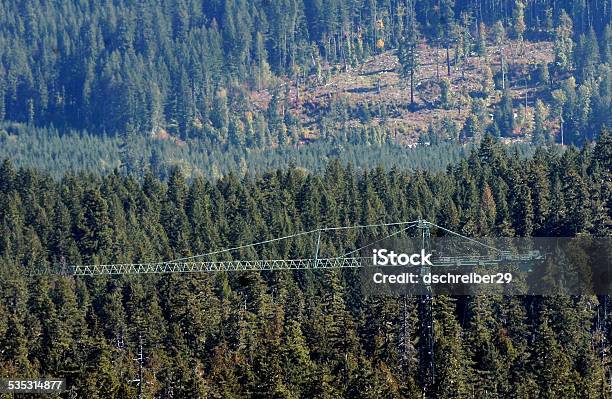 Canopy Research Crane Stock Photo - Download Image Now - 2015, Gifford Pinchot National Forest, Horizontal
