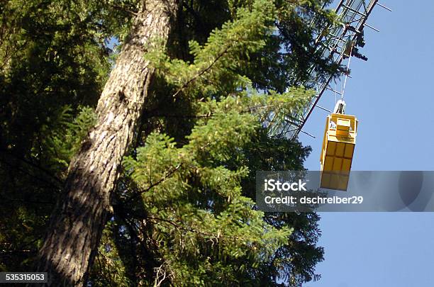 Canopy Research Crane Stock Photo - Download Image Now - 2015, Gifford Pinchot National Forest, Horizontal