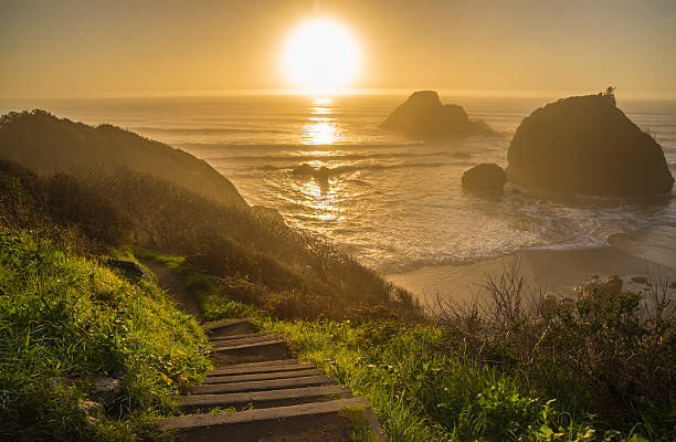 太陽 houda ポイント - humboldt county california coastline island ストックフォトと画像