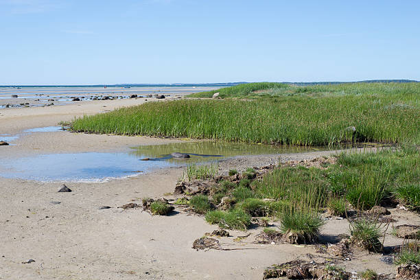 istock Beach and coast at Isefjord in Denmark 535316735