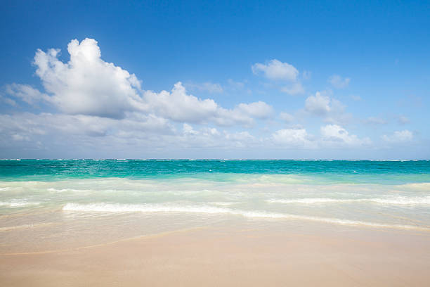 istock Bright empty beach, coastal landscape. Dominican republic 535318397