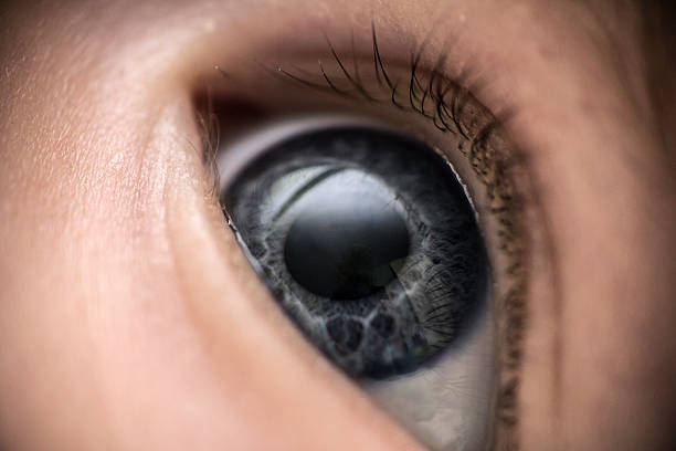 Close-up of baby’s eye