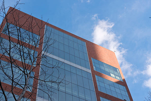 istock Skyscrapers from ground view with blue sky visible 535320239