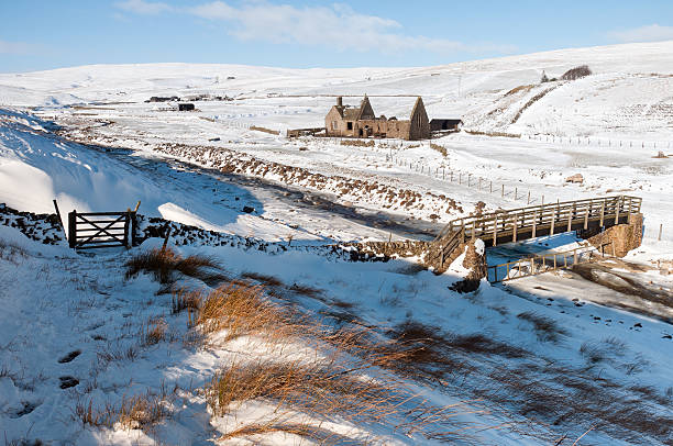 Stream with ice during winter season in Bashang Inner Mongolia.