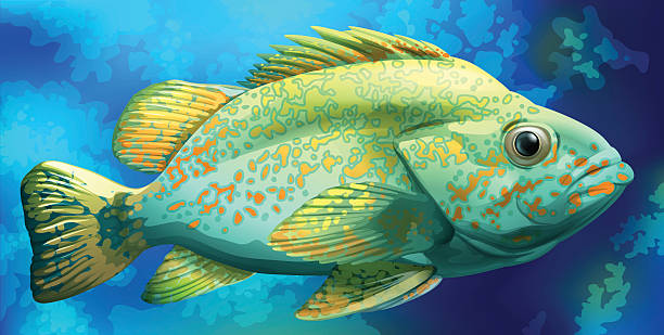 Fish A fish under the sea jawless fish photos stock illustrations