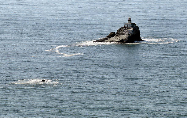 istock Tillamook Rock Light lighthouse, north Oregon coast 535339779