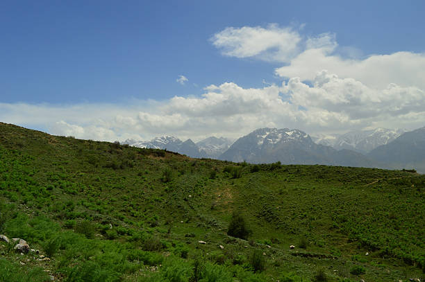istock Hills and mountains, Zarhar gorge, Kyrgyzstan 535340449