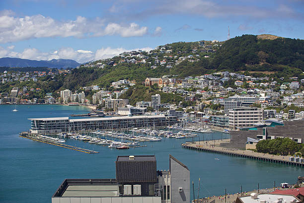 Wellington City Waterfront (Te Papa, Marina, Clyde Quay) stock photo