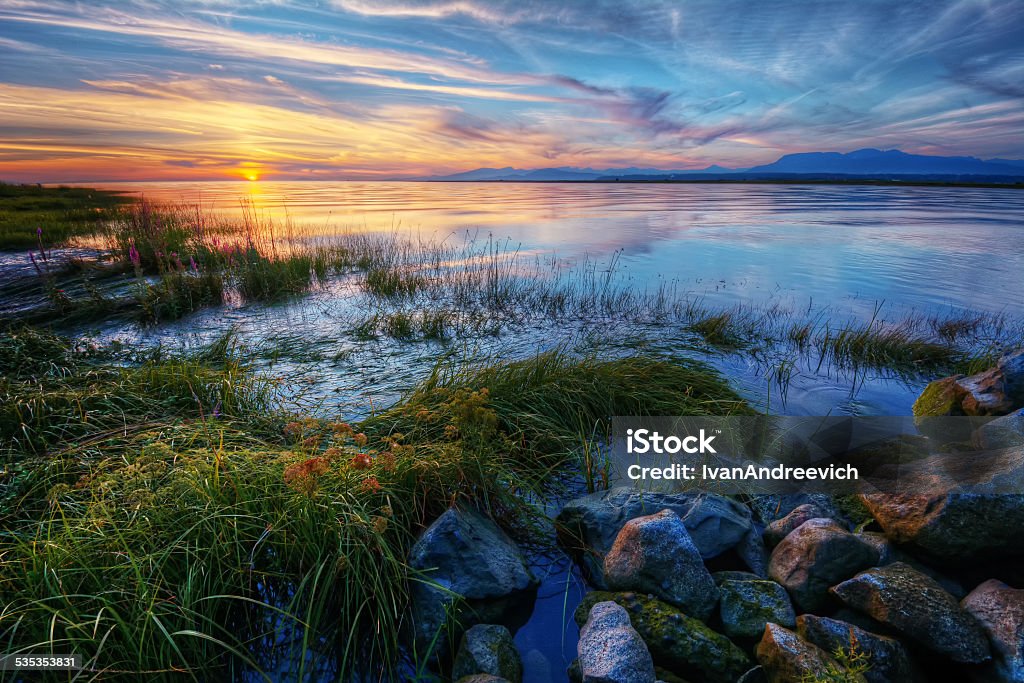 Apacible río al atardecer de verano con hierba Verde y a las montañas lejanas - Foto de stock de Norte libre de derechos