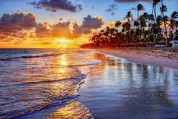 istock Brilliant ocean beach sunrise with palm trees 535355075