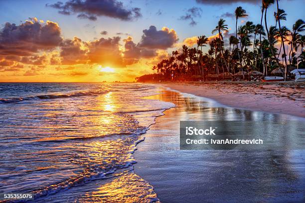 Brilliant Ocean Beach Sunrise With Palm Trees Stock Photo - Download Image Now - 2015, Beach, Coastline