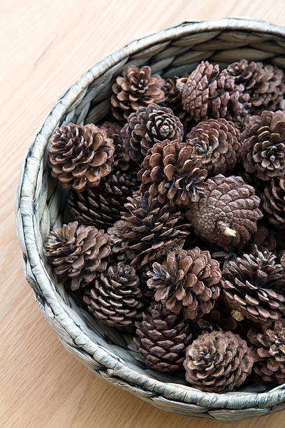 istock The cones ornament in woven bowl 535372191