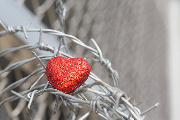 red heart on a background of barbed wire