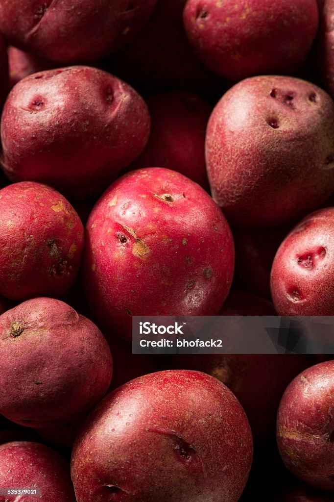 Organic Raw Red Potatoes Organic Raw Red Potatoes in a Basket 2015 Stock Photo