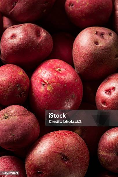 Organic Raw Red Potatoes Stock Photo - Download Image Now - 2015, Agriculture, Brown