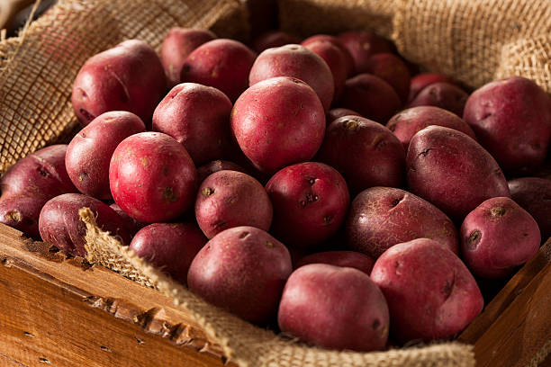 fruits bio de pommes de terre rouge - red potato photos photos et images de collection