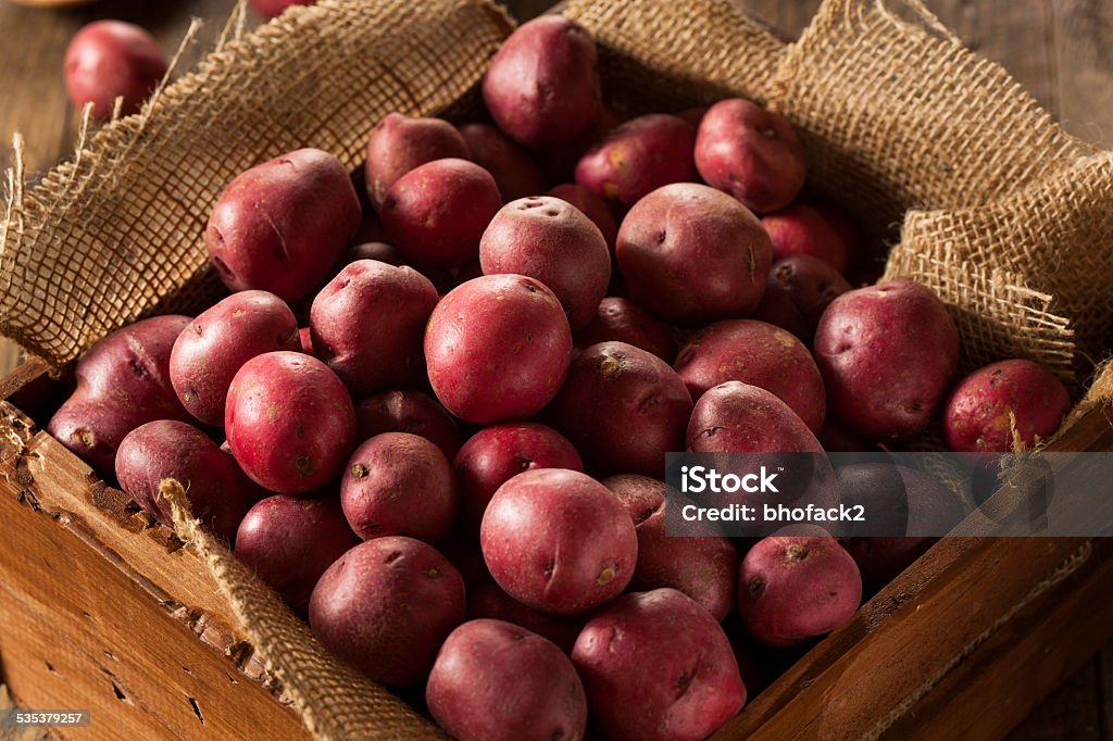 Organic Raw Red Potatoes Organic Raw Red Potatoes in a Basket 2015 Stock Photo