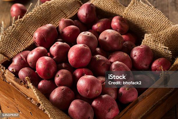 Organic Raw Red Potatoes Stock Photo - Download Image Now - 2015, Agriculture, Brown