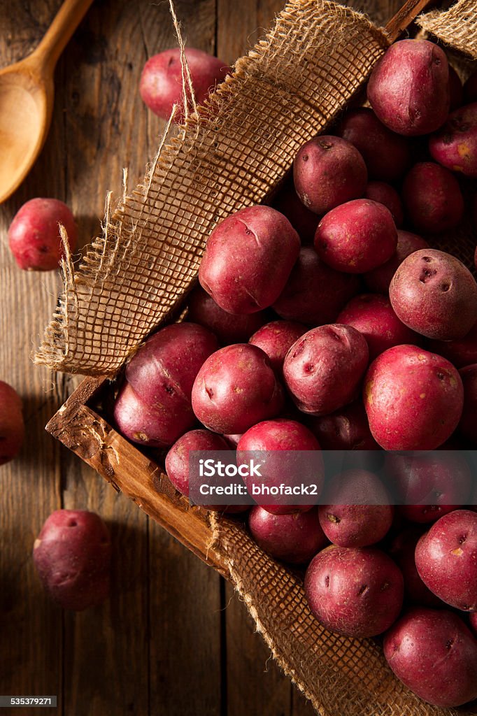 Organic Raw Red Potatoes Organic Raw Red Potatoes in a Basket 2015 Stock Photo