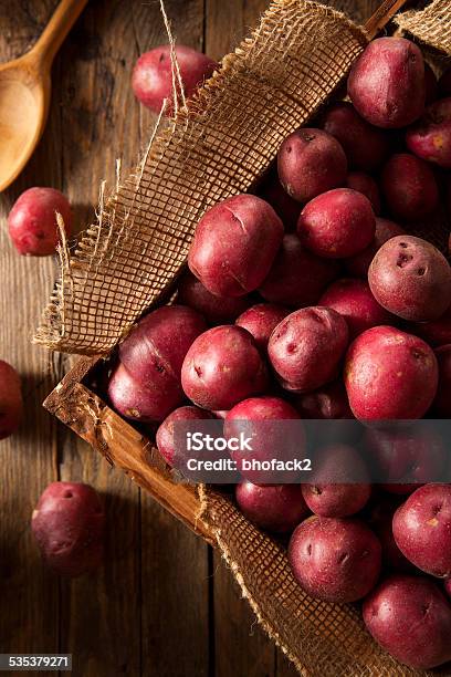 Organic Raw Red Potatoes Stock Photo - Download Image Now - 2015, Agriculture, Brown