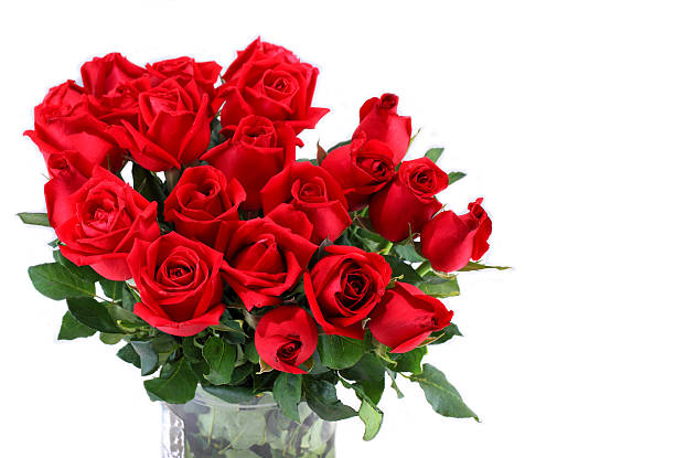 istock Red rose flower on white background. 535379413