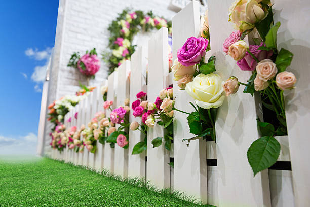 istock Roses behind the fence 535396664