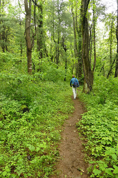 Appalachian Trail hiker George Washington National Forest Virginia Walking through thick forest, a day hiker with a fanny pack on works his way along a muddy Appalachian Trail on Long Mountain in the George Washington National Forest outside Buena Vista, Virginia. george washington national forest stock pictures, royalty-free photos & images