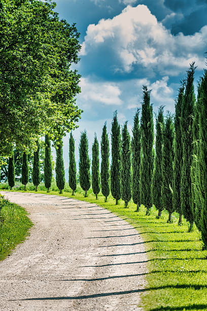 Winding road in Tuscany with farmhause at sunset