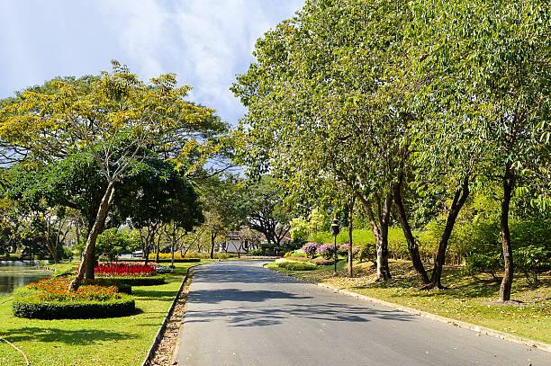 istock road in nature garden 535398827