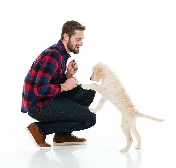 istock Casual man playing with his dog 535399252