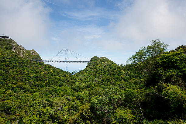 langkawi sky bridge vue panoramique en malaisie - tropical rainforest elevated walkway pulau langkawi malaysia photos et images de collection