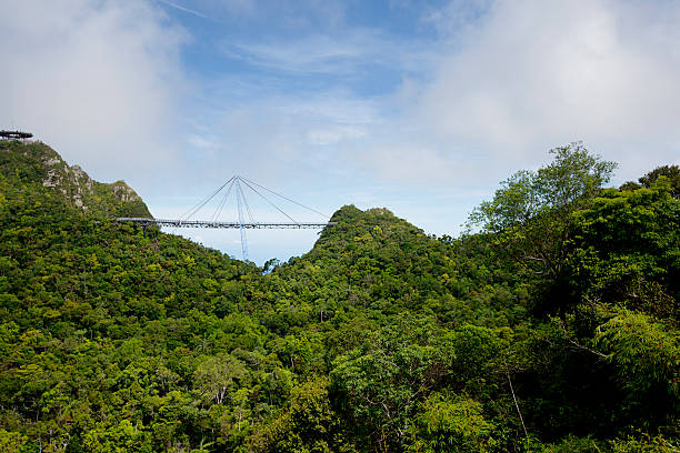 랑카위 스카이 브리�지에서 멋진 전망 말레이시아 - tropical rainforest elevated walkway pulau langkawi malaysia 뉴스 사진 이미지