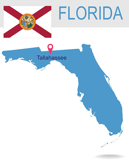 USA state Of Florida's map and Flag Detailed vector map of the State and Flag. PDF file included. florida us state stock illustrations